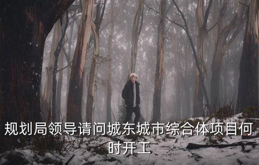 規劃局領導請問城東城市綜合體項目何時開工