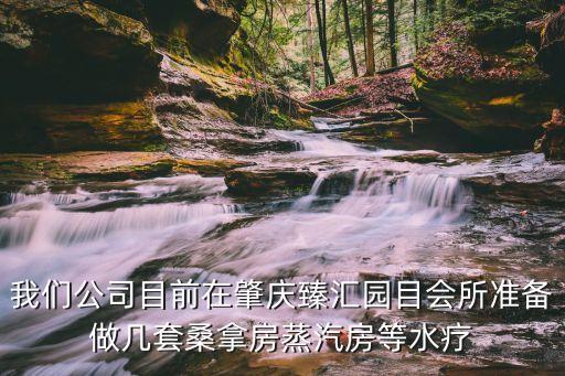 我們公司目前在肇慶臻匯園目會(huì)所準(zhǔn)備做幾套桑拿房蒸汽房等水療