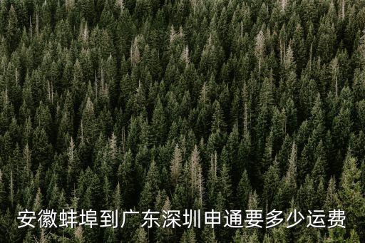 安徽蚌埠到廣東深圳申通要多少運費