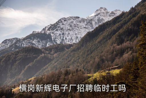 廣州新輝電子股份有限公司，橫崗新輝電子廠詳細地址