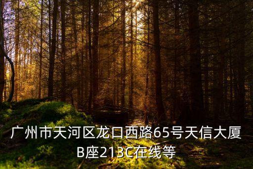 廣州市天河區(qū)龍口西路65號天信大廈B座213C在線等