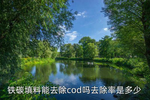 廣州去除cod鐵碳填料，鐵碳填料能去除cod嗎去除率是多少