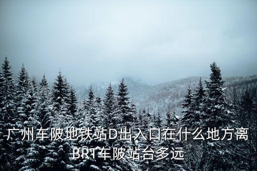 廣州天河車陂d出口站街，廣州車陂地鐵站D出入口在什么地方離BRT車陂站臺多遠