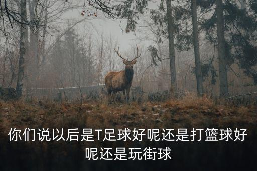 廣州增城青菜籃配送，籃球的好玩的原因