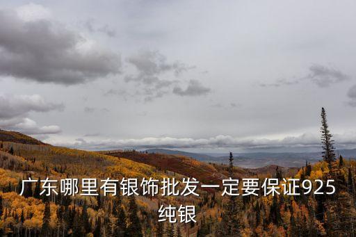 廣州白銀恒盛工貿有限公司，在廣州有專業的現貨白銀價公司嗎