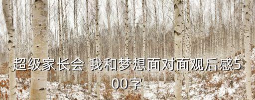 超級家長會 我和夢想面對面觀后感500字