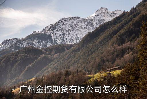 廣州金控集團如何，金控集團是干什么的