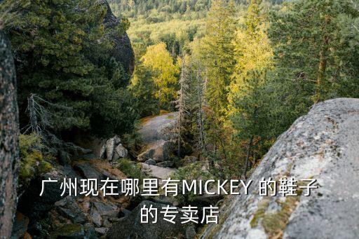 廣州現在哪里有MICKEY 的鞋子的專賣店