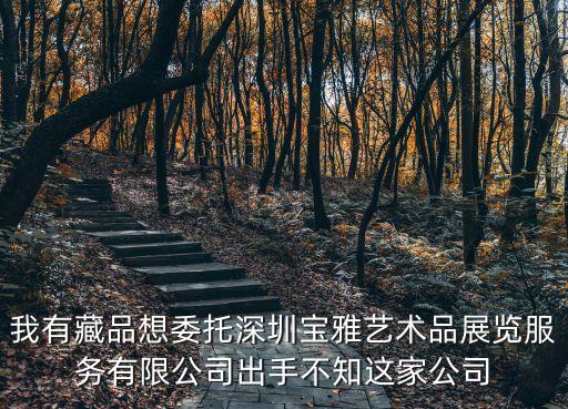 我有藏品想委托深圳寶雅藝術品展覽服務有限公司出手不知這家公司
