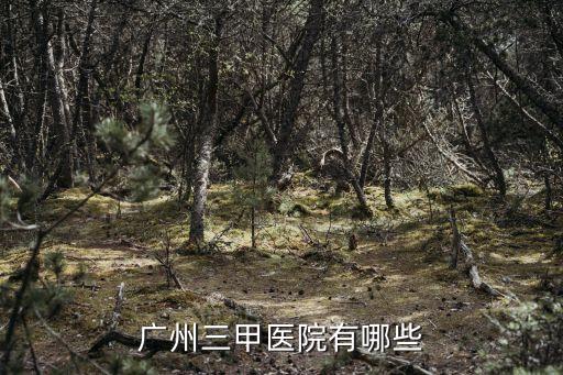 廣州三甲醫(yī)院有哪些