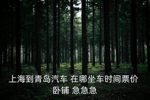 上海到青島汽車 在哪坐車時間票價 臥鋪 急急急