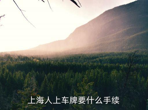 上海市買車上牌需要什么手續，上海購車如何上牌