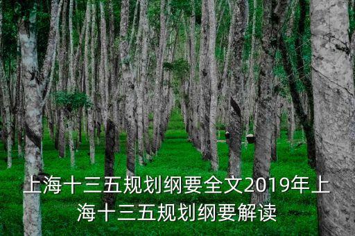 上海市的十三五規(guī)劃，2018年上海市十三五發(fā)展規(guī)劃全文