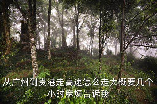 從廣州到貴港走高速怎么走大概要幾個小時麻煩告訴我