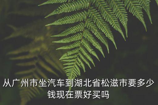 從廣州市坐汽車(chē)到湖北省松滋市要多少錢(qián)現(xiàn)在票好買(mǎi)嗎