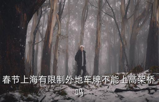 春節(jié)上海有限制外地車牌不能上高架橋嗎