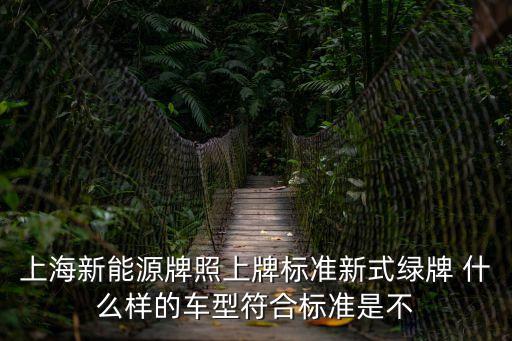 上海新能源牌照上牌標準新式綠牌 什么樣的車型符合標準是不