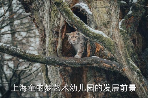 王君瑤上海市家長工作指導專家，上海童的夢藝術幼兒園的發(fā)展前景