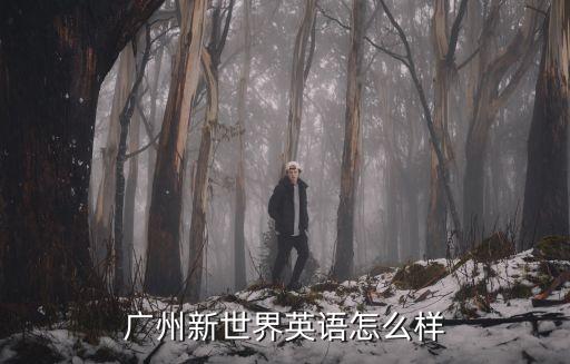 廣州新世界 留學(xué)，新世界教育在廣州有嗎