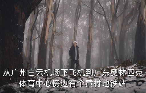 從廣州白云機(jī)場下飛機(jī)到廣東奧林匹克體育中心傍邊有個黃村地鐵站