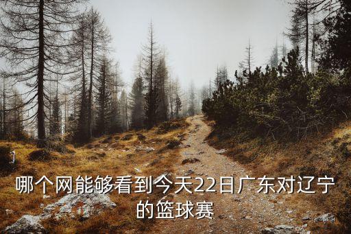 遼寧男籃vs廣州直播解說，哪個網(wǎng)能夠看到今天22日廣東對遼寧的籃球賽
