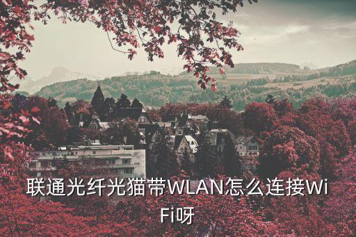 廣州聯通的光貓有wifi功能，聯通光貓有wifi功能嗎