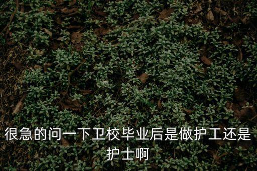 很急的問一下衛校畢業后是做護工還是護士啊