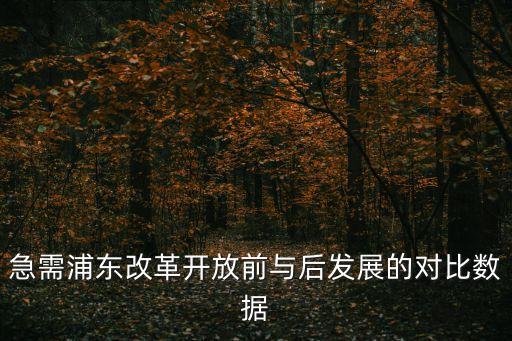 急需浦東改革開(kāi)放前與后發(fā)展的對(duì)比數(shù)據(jù)