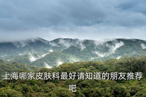 上海哪家皮膚科最好請(qǐng)知道的朋友推薦吧
