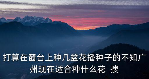 打算在窗臺上種幾盆花播種子的不知廣州現(xiàn)在適合種什么花  搜