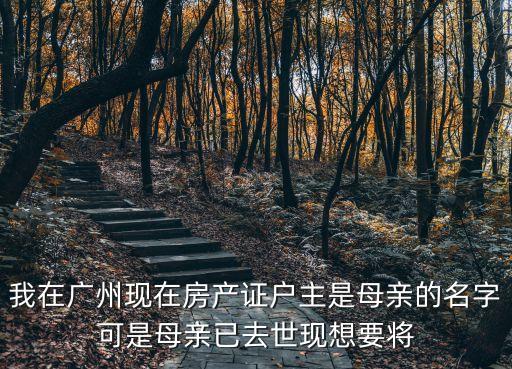 廣州房產(chǎn)轉(zhuǎn)父母名字，我在廣州現(xiàn)在房產(chǎn)證戶主是母親的名字可是母親已去世現(xiàn)想要將