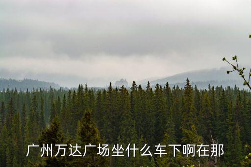 廣州車城萬達，廣州萬達廣場坐什么車下啊在那