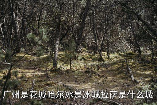 廣州御湖山御景園，廣州是花城哈爾冰是冰城拉薩是什么城