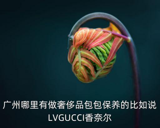 廣州哪里有做奢侈品包包保養的比如說LVGUCCI香奈爾