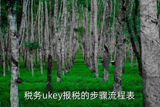 稅務ukey報稅的步驟流程表