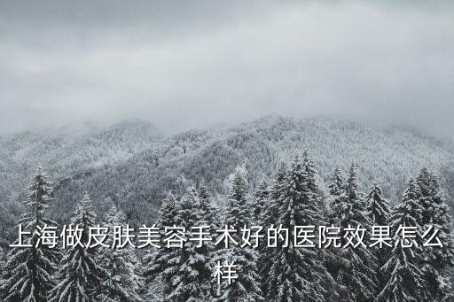 上海市皮膚醫院可以整容么，上海做皮膚美容手術好的醫院效果怎么樣