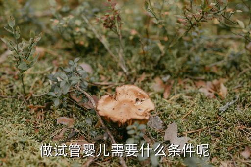 廣州恒建金陵美域，有艾滋病的可以在私立醫(yī)院做試管嬰兒?jiǎn)?/></a></span><span id=