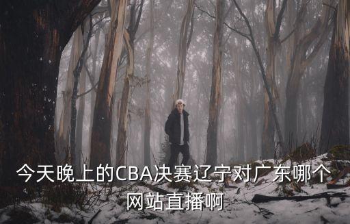 今天晚上的CBA決賽遼寧對廣東哪個網站直播啊