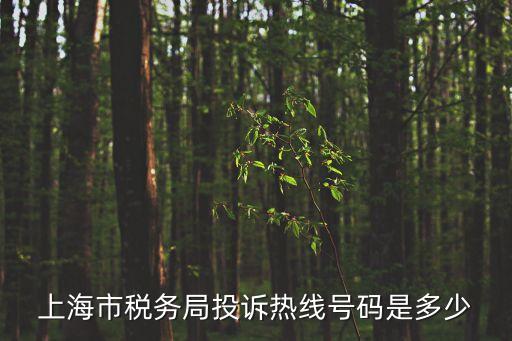 上海市稅務局投訴熱線號碼是多少