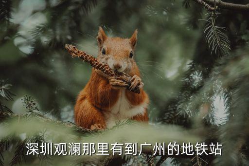 觀瀾地鐵到廣州嗎，觀瀾有地鐵到廣州火車站嗎