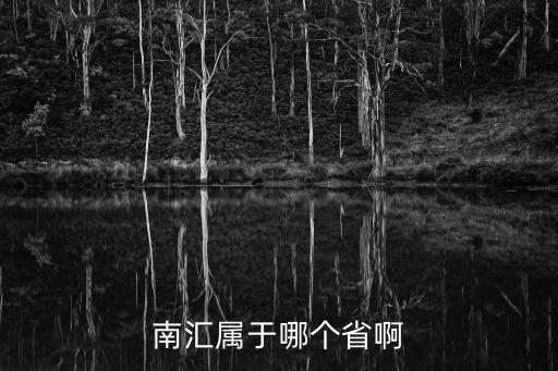 南匯屬于哪個省啊