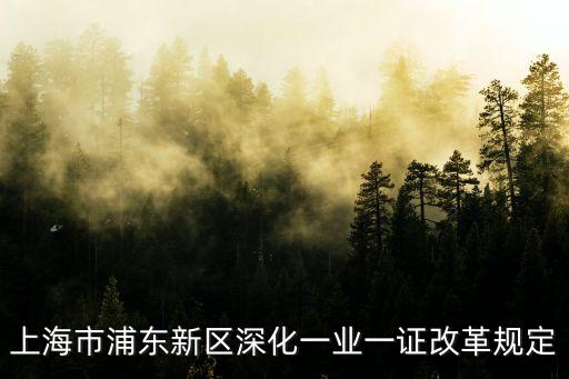 上海市浦東新區深化一業一證改革規定