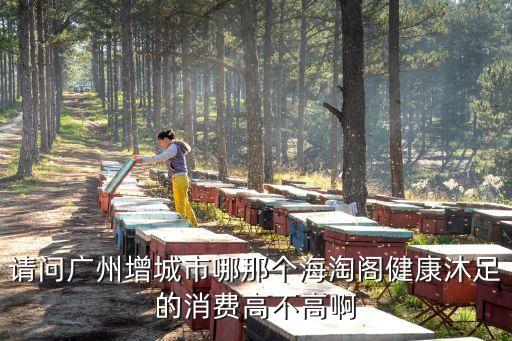 請(qǐng)問廣州增城市哪那個(gè)海淘閣健康沐足的消費(fèi)高不高啊