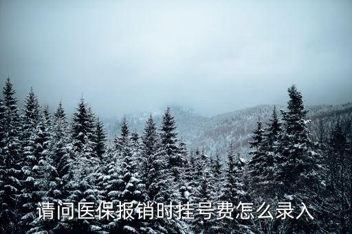 廣州微信掛號如何醫保報銷，預約掛號 如何醫保報銷