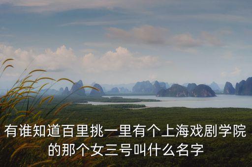 有誰知道百里挑一里有個上海戲劇學(xué)院的那個女三號叫什么名字