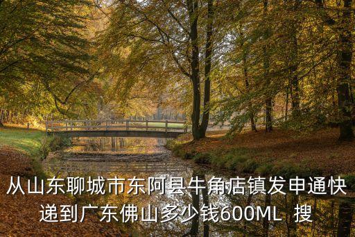 從山東聊城市東阿縣牛角店鎮(zhèn)發(fā)申通快遞到廣東佛山多少錢600ML  搜