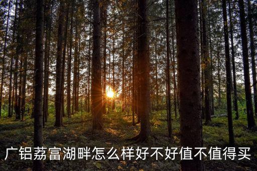 廣州荔富湖畔公寓價格，增城荔城有什么性價比高的樓盤