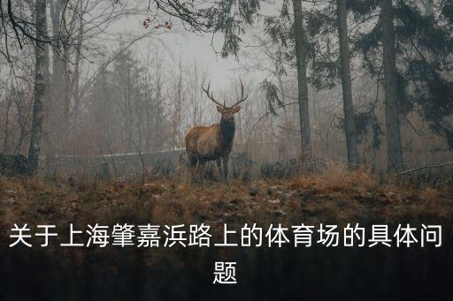 上海市體育館消防，正常的體育館消防通道是多少超急