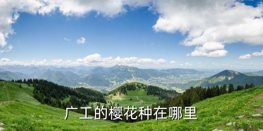 廣州工業(yè)大學(xué) 櫻花，華農(nóng)的紫荊和廣工的櫻花花期多久