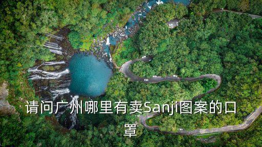 廣州康邦口罩圖片，請問廣州哪里有賣Sanji圖案的口罩